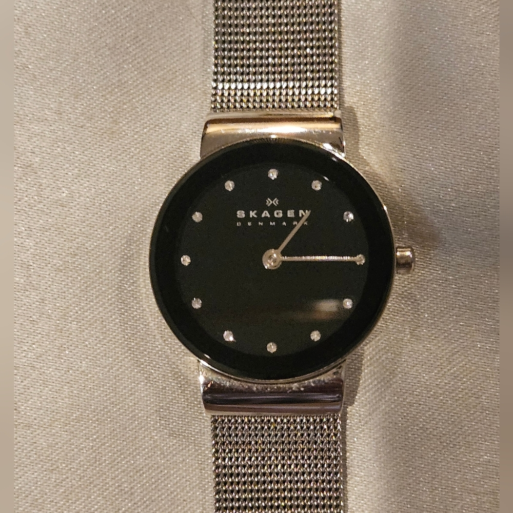 Skagen Women's Stainless Steel Mesh Band watch